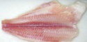 fresh frozen untrimmed pangasius fillet - product's photo
