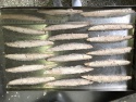 precooked pacific mackerel loin - product's photo