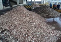 high quality fish meal fish - product's photo