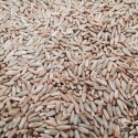 rye bran and rye flakes - product's photo