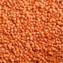 dry green and red  lentils - product's photo