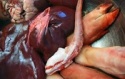 clean frozen pork - product's photo