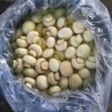 fresh brined mushroom in drum mushroom in brine - product's photo