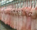 frozen pork back fat - product's photo