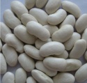 white kidney beans - product's photo