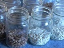 round light specked kidney beans - product's photo