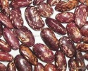 dark red kidney beans - product's photo