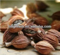 amomum,food seasoning - product's photo