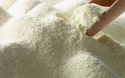 skimmed milk powder - product's photo