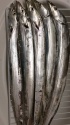 frozen whole ribbon fish - product's photo