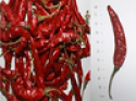 spices importers - product's photo