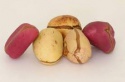 bitter cola nuts for sale at cheap price - product's photo